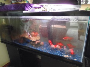 winter condo quite filled up...