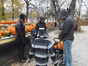 everyone's choices in the wagon...