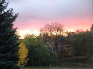 beautiful pink sky and autumn leaves...