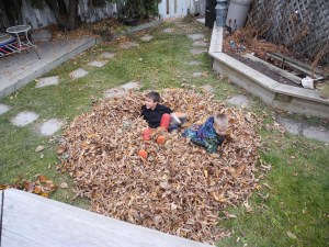 jumping in the "bed"...