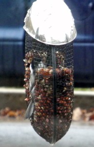 chickadee in the middle of the feeder...