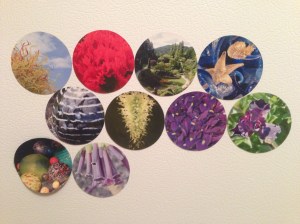 Advent magnet collection to date...