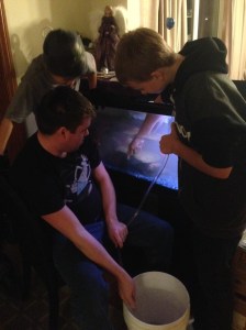 cleaaning the aquarium... took 4 boys to get the job done...