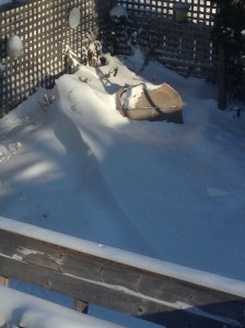 drift across the garden..