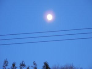 moon over the trees...