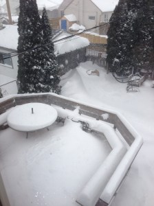 snow coming down first thing...