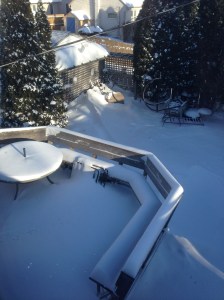 bunny prints on the deck..
