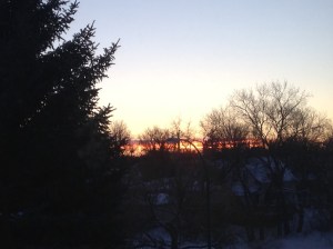 sunset as I was headed for my nap after getting home...