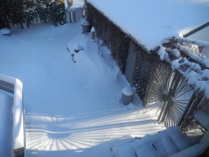 shadow thrown from the gate which George made to look like the sun and its rays...