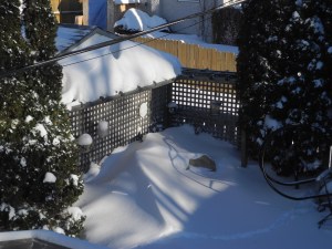 shadows in the snow and you can see how high the snow is on the pergola by the garage...