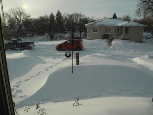 footprints through the deep snow...