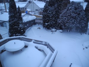snow in the garden before yesterday and today's snowfall...