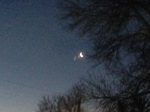 moon a few night's ago...