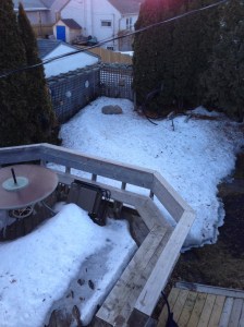 backyard this morning...