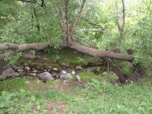 lovely place by the creek to rest...