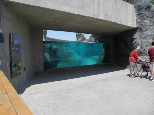 great viewing spots...