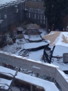 snow on the ground...