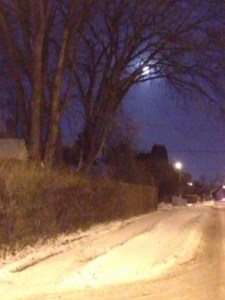 moon through the trees...