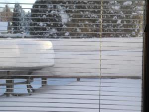 snow on the deck in January 2011...