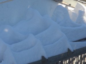 pattern on the trellis...