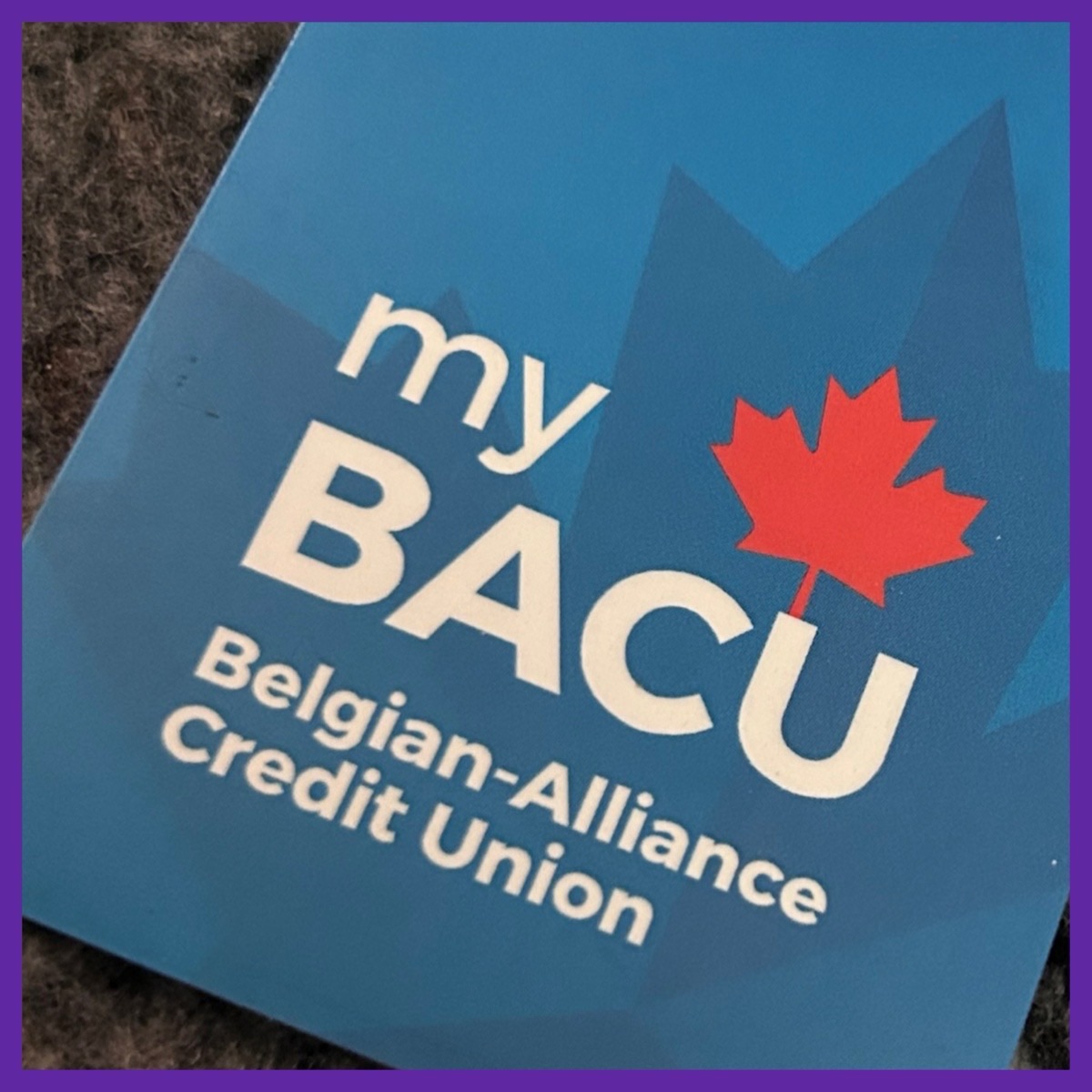 credit union… | herbiggirlpants